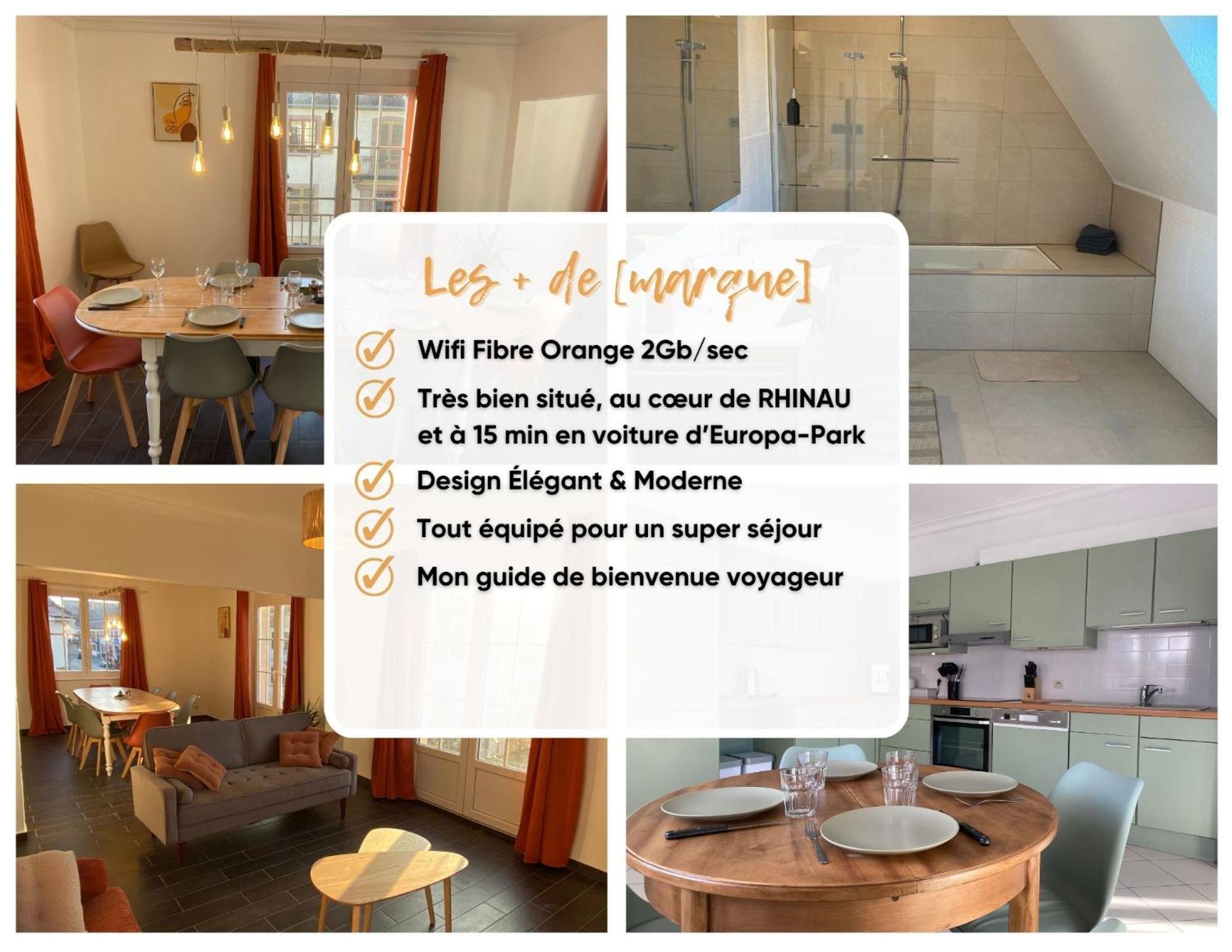 RhinauL'Echappee Belle Le Duplex Proche "Europa Park"公寓 外观 照片